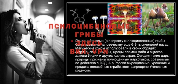 стафф Балабаново