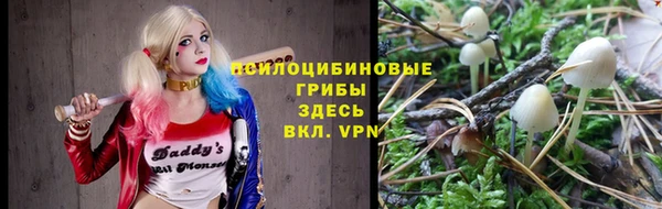 стафф Балабаново