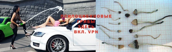 стафф Балабаново