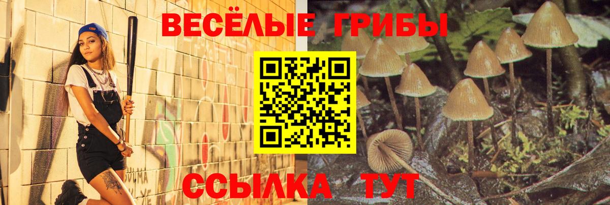 Балтийск  Псилоцибиновые грибы GOLDEN TEACHER  Вход с VPN 