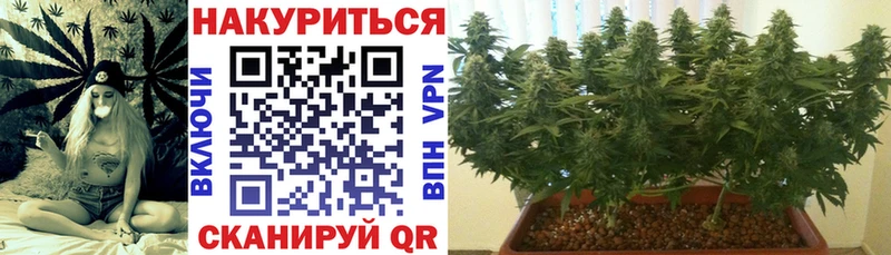 купить   мега как войти  Конопля сатива  Балтийск 